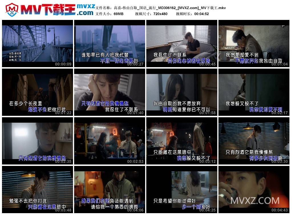 高喜-咎由自取_国语_流行_MD306162